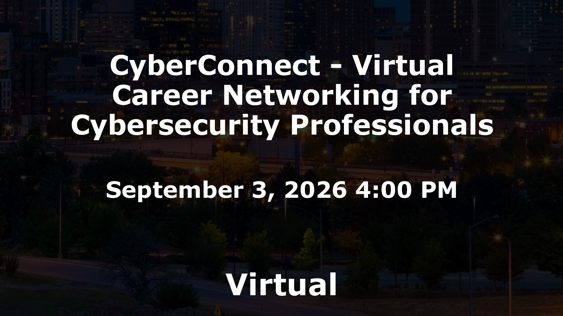 CyberConnect - Virtual Career Networking for Cybersecurity Professionals event image